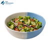 Dual Tone Cereal Bowl – 5.5 Inch